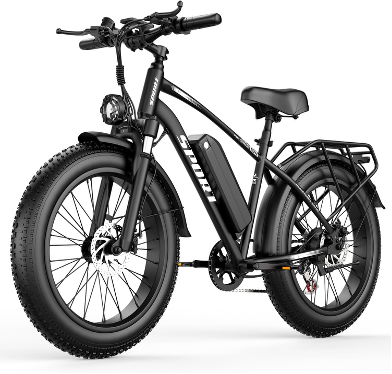 G29 electric bike